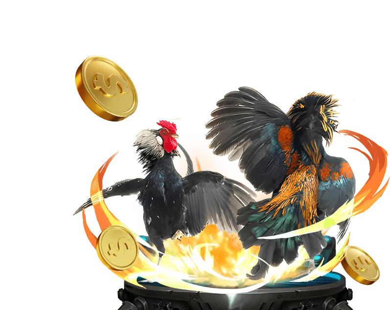 Hình ảnh hoàn trả hàng ngày cho người chơi casino